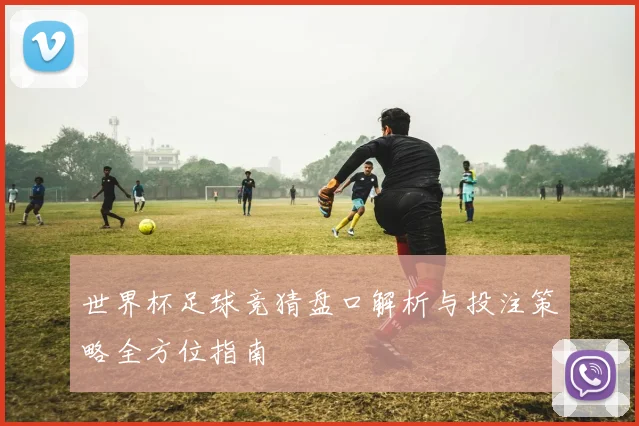 世界杯足球竞猜盘口解析与投注策略全方位指南