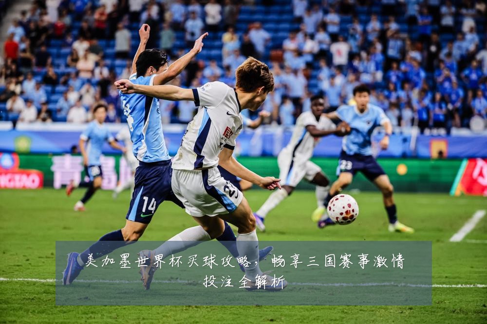 美加墨世界杯买球攻略，畅享三国赛事激情投注全解析