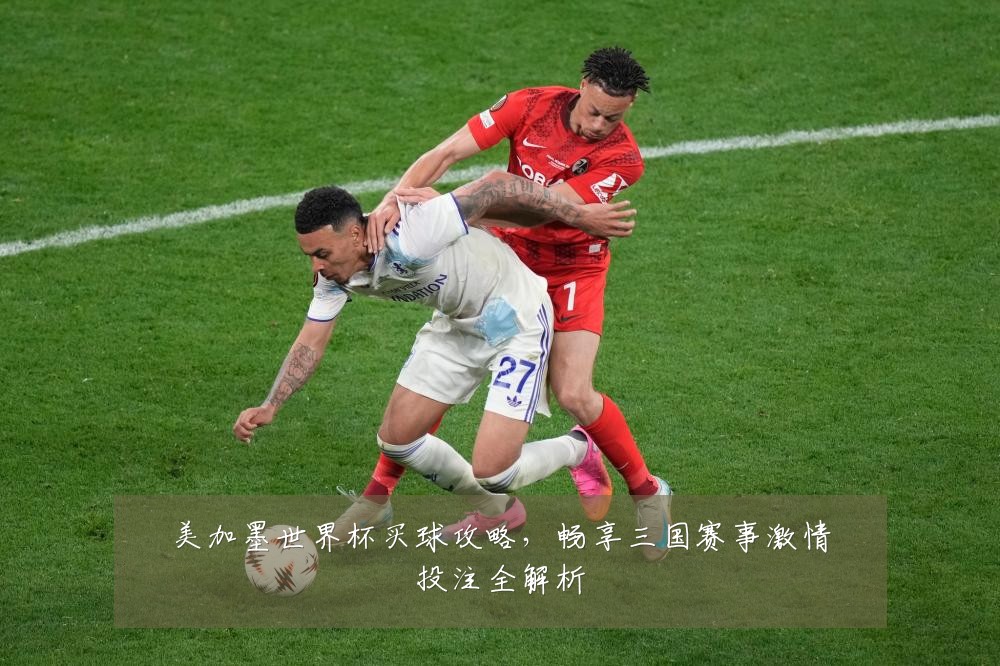 美加墨世界杯买球攻略，畅享三国赛事激情投注全解析