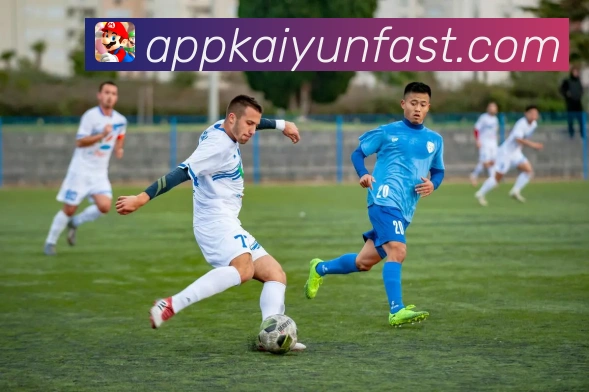 开云官网最新入口网址及使用指南详细介绍